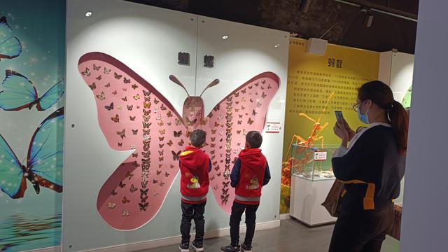 郑州周边免费景点，郑州最近免费旅游景点大全（不出郑州的8个赏花遛娃地）