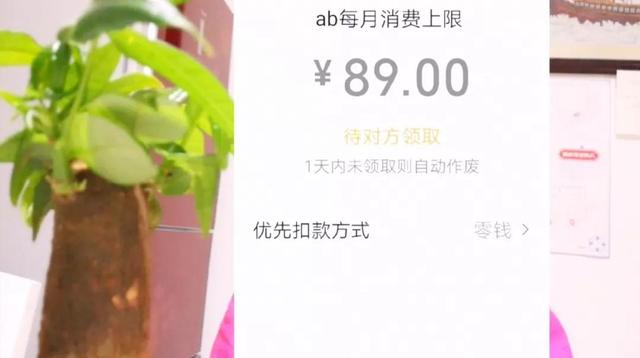 新微信号怎样开通微信支付，新微信号怎样开通微信支付码（微信里没有零钱未绑银行卡）