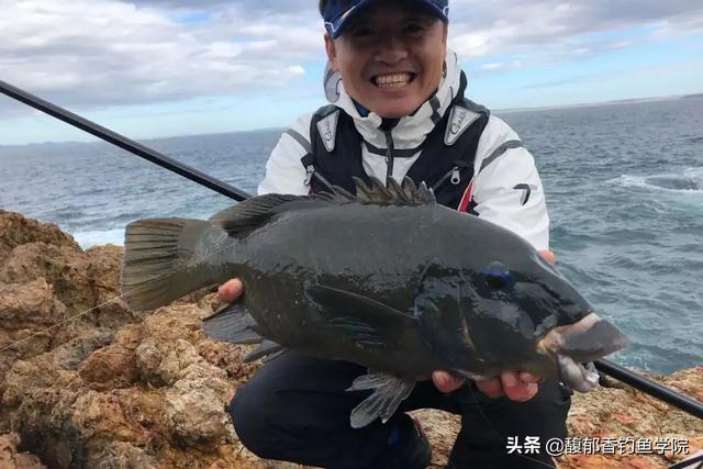 黑毛鱼是什么鱼，黑毛鱼的摄食习性和垂钓技巧