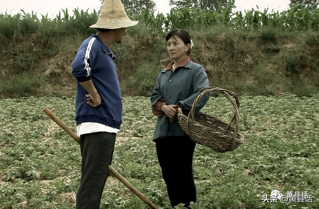 爬是什么意思网络用语，爬是什么意思（黄县话里的古动词，你听说过吗）