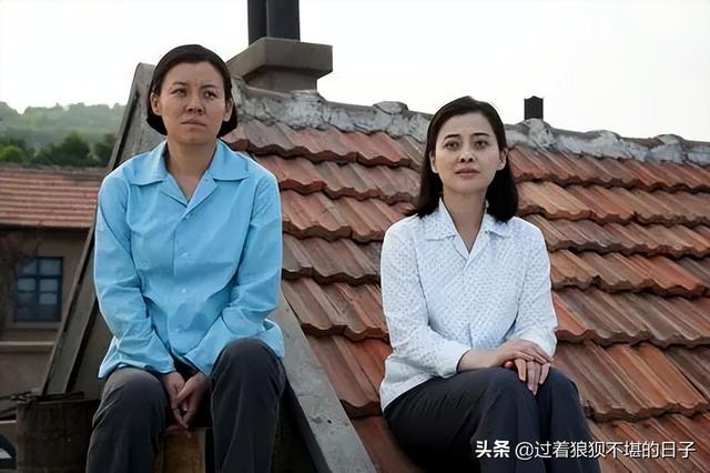 什么是家庭成分高，什么是家庭成分高的奶粉（《父母爱情》究竟有什么魔力）
