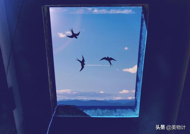 谷雨节气的介绍 二十四节气之谷雨内容文字，谷雨节气的介绍（谷雨：人间春暮，岁短情长）