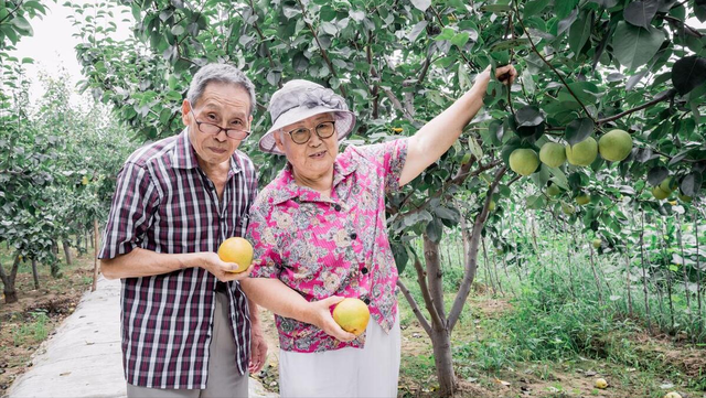 亲身经历的几种养老方式，我倾向于第四和第五种结合