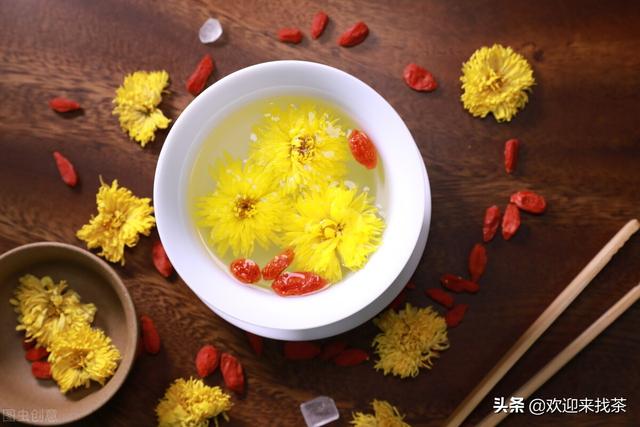 菊花代表什么象征意义，菊花代表什么（说到菊花你会想到什么）