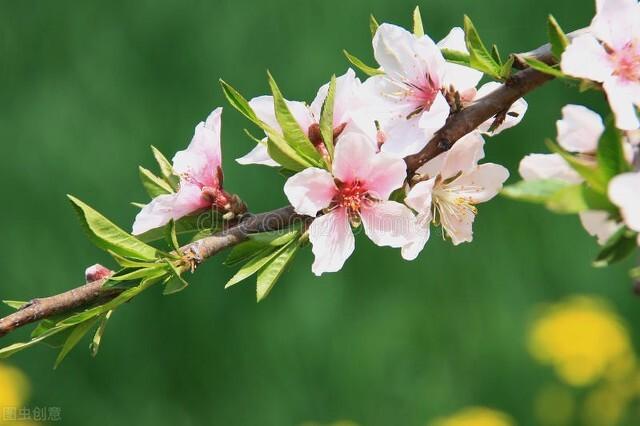 爱而不得下一句是什么，爱而不得下一句连起来（爱而不得下一句连起来爱而不得不曾相识）