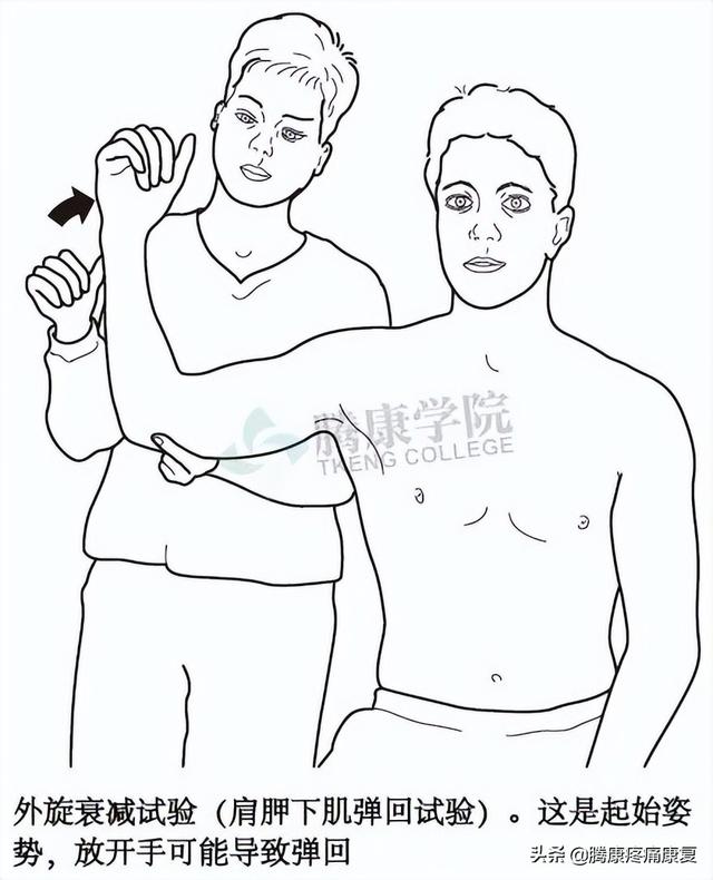 biceph，肩关节的特殊检查（bicep curl）