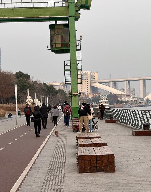 蔡卓宜个人简介，蔡卓宜个人简介身高（王大陆蔡卓宜因综艺结缘）