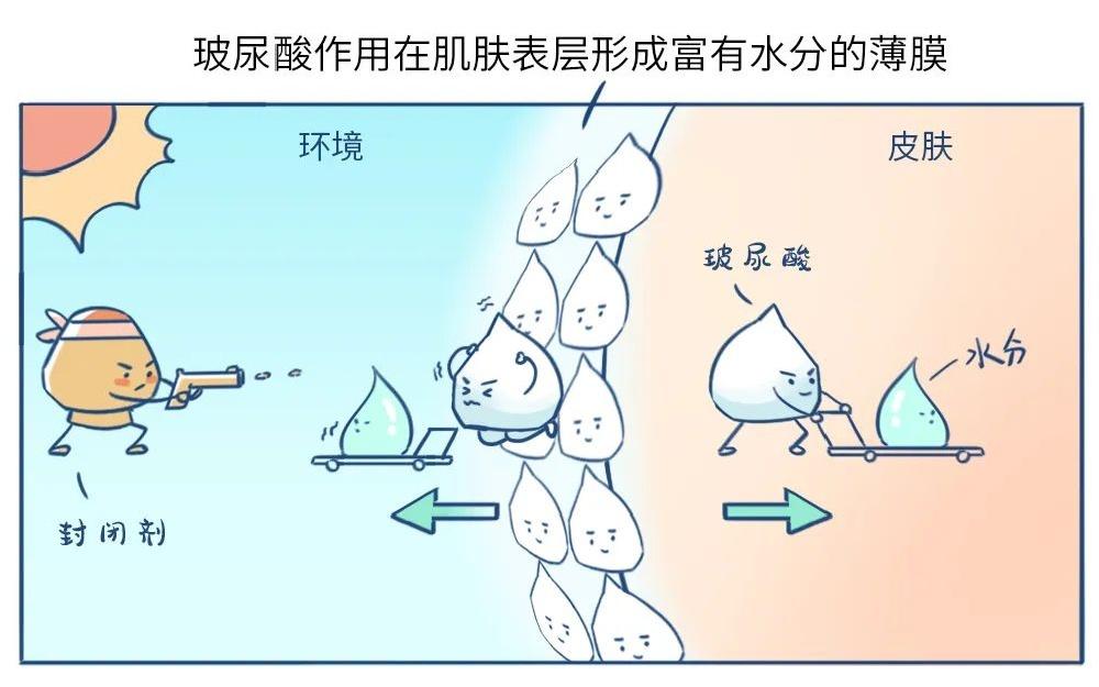 玻尿酸补水保湿功能，原来护肤品中常见的这些都是保湿成分