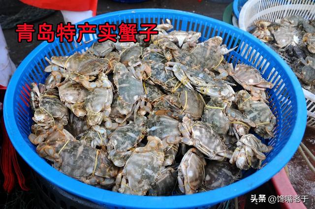 青岛9月份开海，开海时间（来青岛别只会吃大虾）