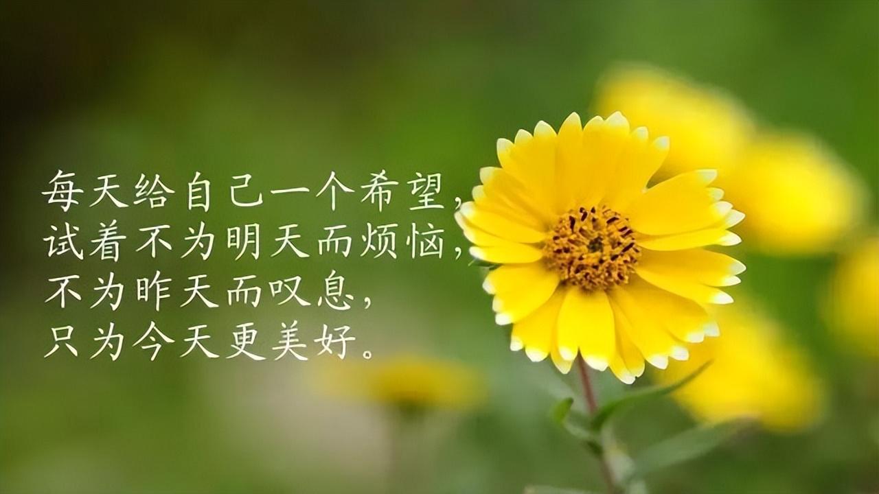 描寫安靜的句子唯美詩句(心靜神聚氣斂詩句)-益寫作