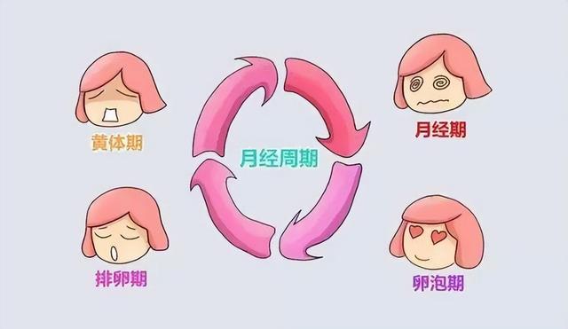 女人什么时候是安全期，女人什么时候是安全期,女人五十以后怀孕的几率是多少（女生前7后8安全期是啥意思）