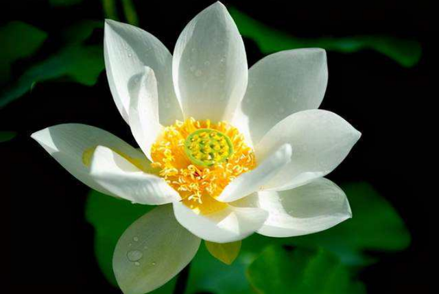 不顾别人感受就是自私，有一种自私叫不顾及别人感受（通常会有的特性图片）