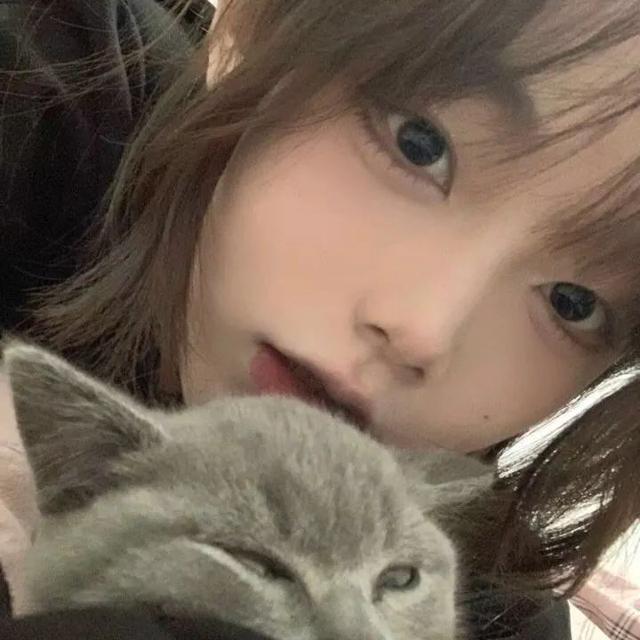 猫系女孩，微信头像，猫系女孩（女生头像：抱猫头像）