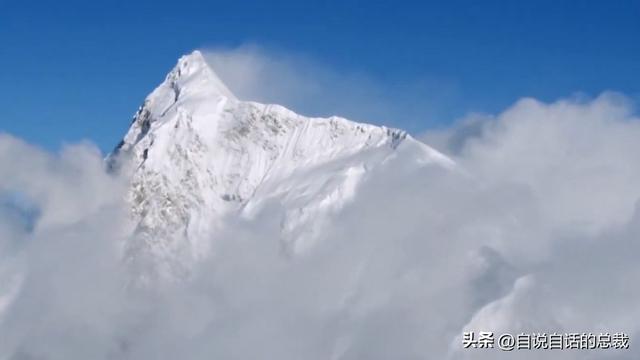 塔黄是什么植物，它被藏民预言为末日神山