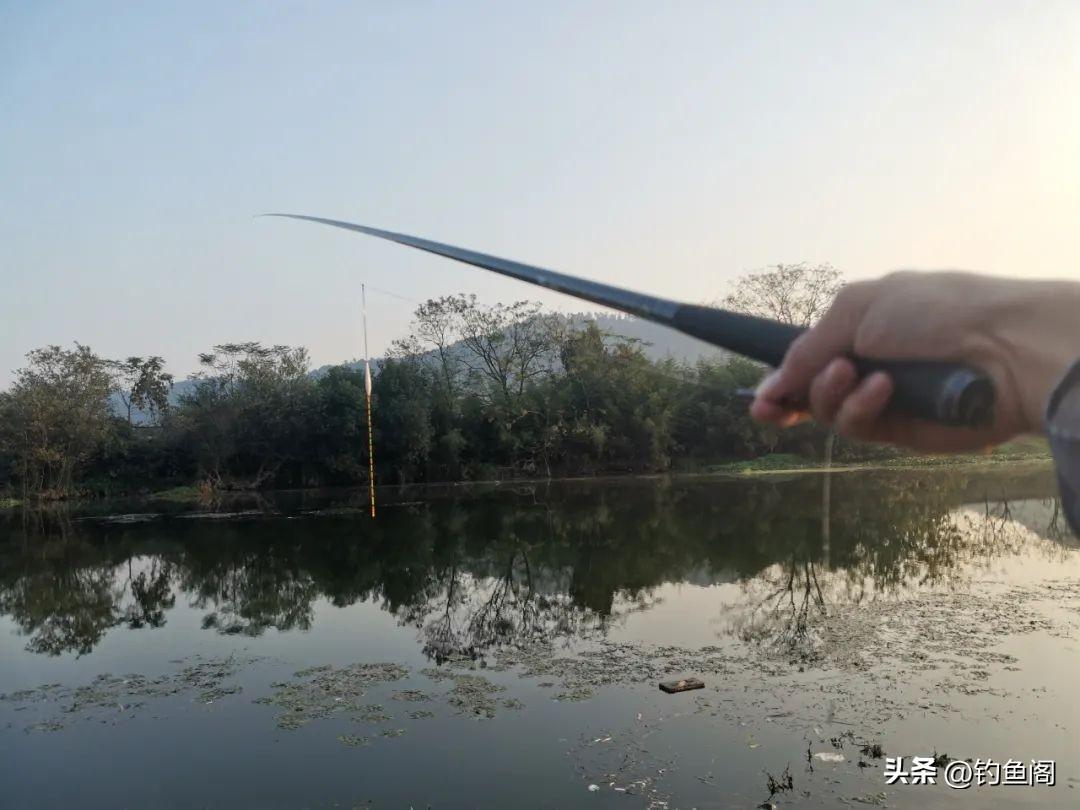 新手必看：钓鱼线常见误区揭秘，避免选错影响上鱼率