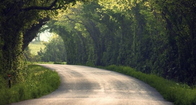十二星座隐藏的超能力，十二星座隐藏的超能力读心术（喜欢隐藏，奈何实力太强的星座）