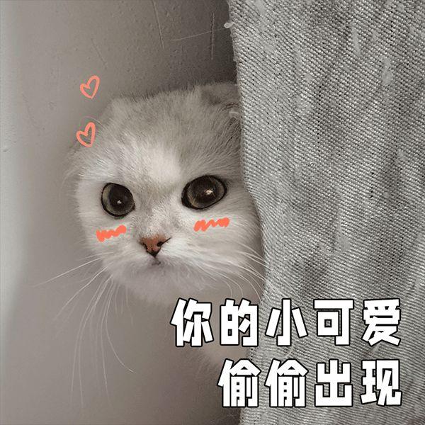 南京海底世界门票，南京海底世界门票包含哪些项目（打折！南京一批景点特惠来了）