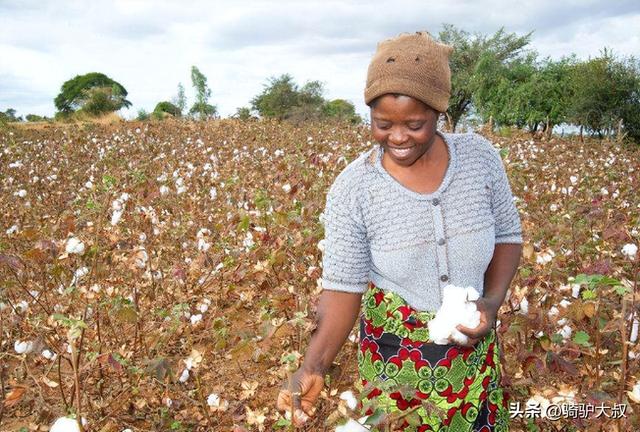 非洲最富有的国家，非洲富裕的国家排名（最穷国家津巴布韦）