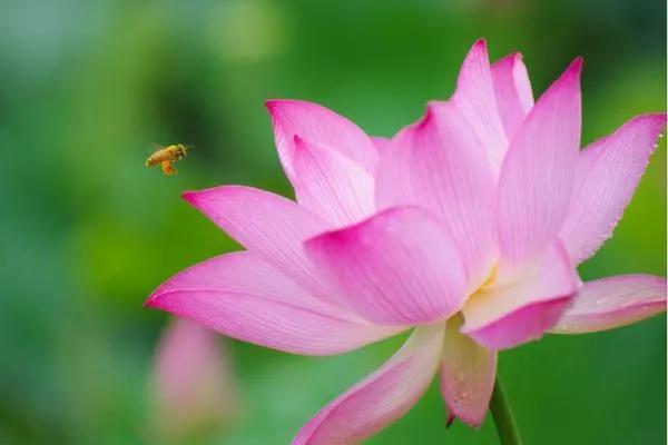 保护眼睛的桌面壁纸，经常对着电脑眼睛疼怎么办（保护眼睛从我做起…）