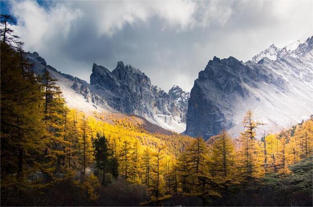 冬天去哪旅游比较好，冬天去什么地方旅游好（五大最美赏秋胜地）