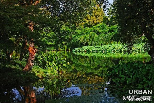 八载图片保护有哪些，八载图片保护怎么设置（西湖保护70年）