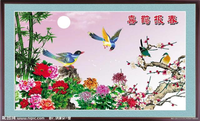 喜鹊图片大全大图，喜鹊的种类及分布图（喜鹊吉祥图片，精美手机壁纸）