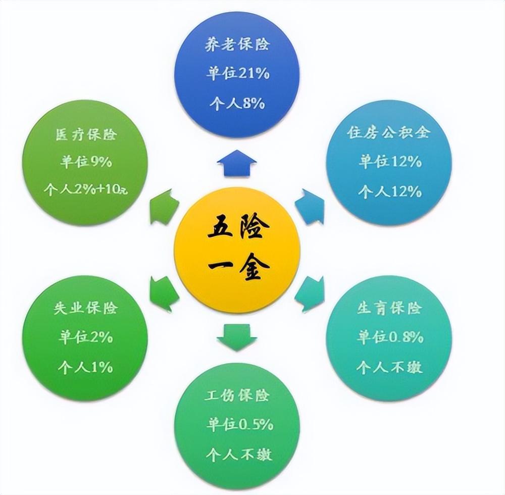 公司不交社保去哪里投诉，公司拖欠社保怎么投诉（公司未给员工缴纳社会保险时）