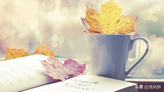 过生日文案，过生日文案短句干净（不油腻的生日说说文案）