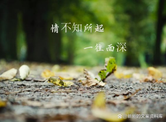 情绪低落想哭怎么办，为什么会情绪低落想哭（越看越想哭的催泪文案）