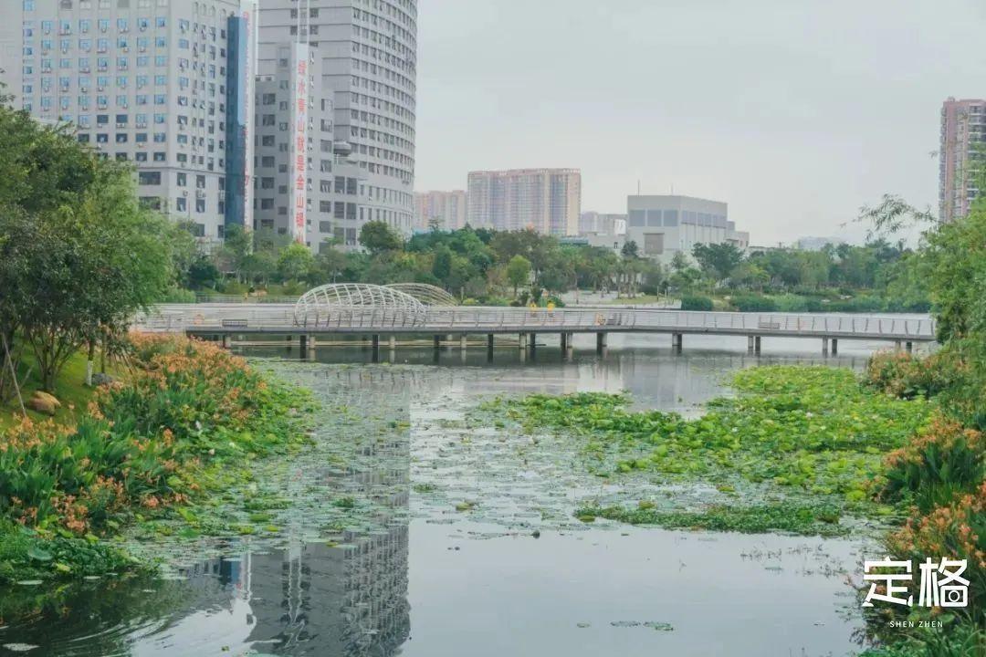 宝安中心地铁站(宝安客运中心附近地铁站)