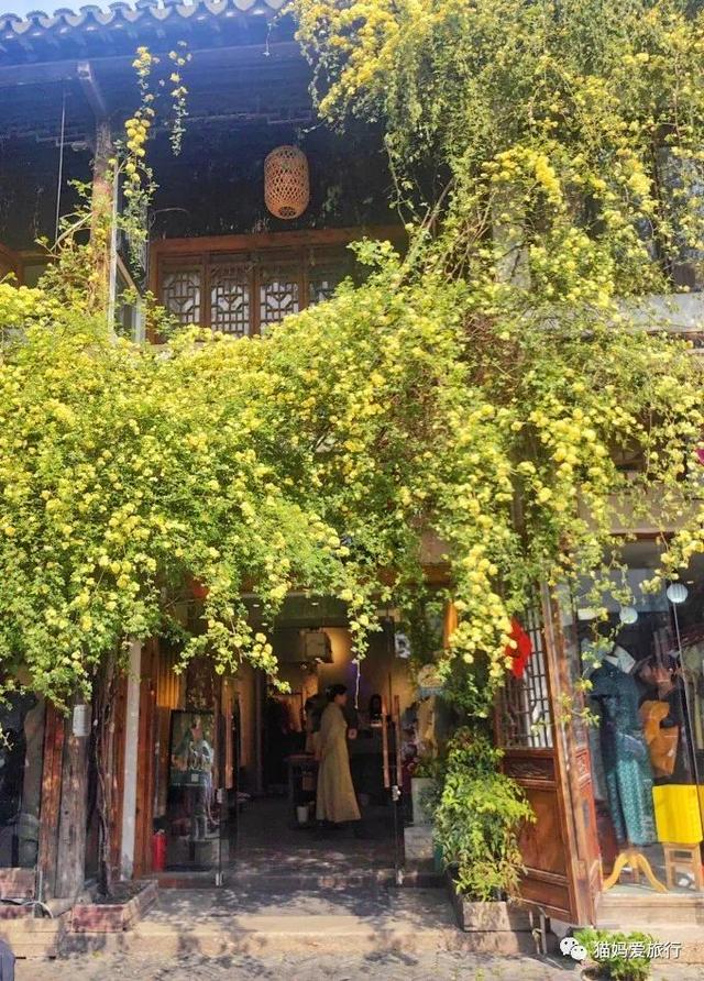 苏州山塘街攻略，苏州山塘街美食最强攻略（周末轻松苏州游）