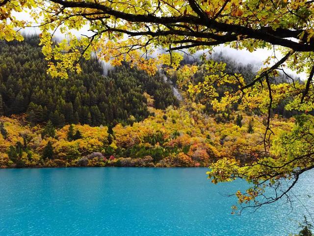 四川九寨沟简介，四川九寨沟介绍（四川九寨沟）