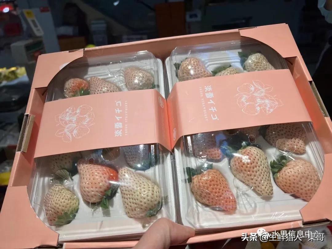 浆果是什么，浆果是什么软件（不同水果的不同包装<浆果篇>）