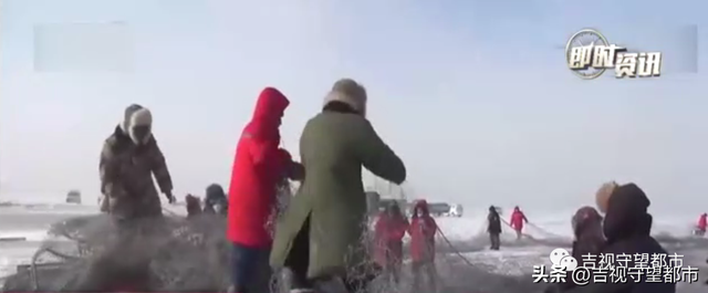 查干湖冬捕直播，查干湖十九届冰雪渔猎文化旅游节（查干湖冬捕开始）