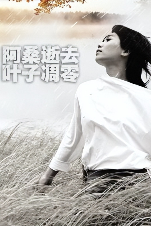 叶子 阿桑 歌词，叶子阿桑歌词（“疗伤歌手”阿桑逝世13周年）