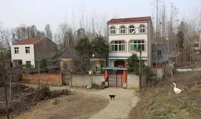 俗话说“宁住碰头屋，不住背水房”，是什么意思？有道理吗？
