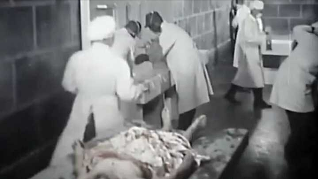 731事件是什么，日本731事件是什么（残忍的日本731部队）