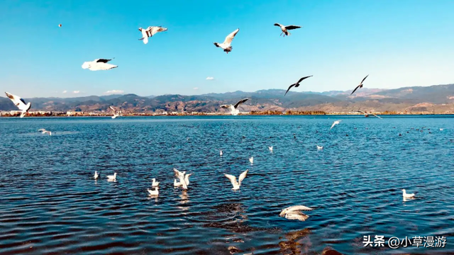 峨眉山自驾游攻略，兰州到峨眉山自驾游攻略（3条四川经典的自驾游线路）