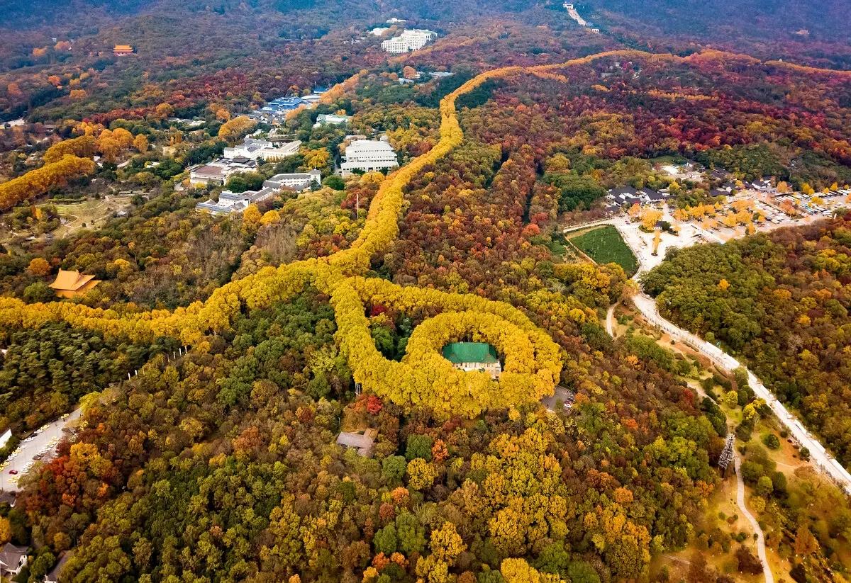 南京旅游景点有哪些好玩的地方？南京十大网红景点推荐