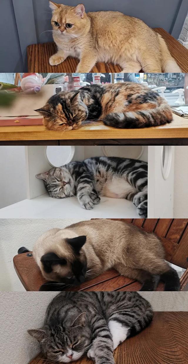 厦门宽厚里步行街的著名小吃，种草好久的厦门宽厚里美食店