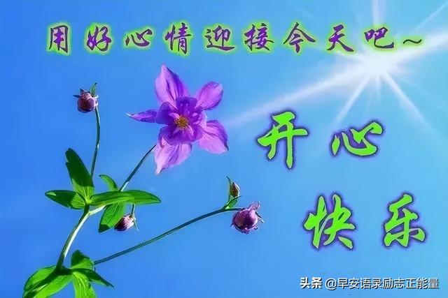 抖音语录经典语录，抖音上的说说经典语录（正能量早安发朋友圈的句子）