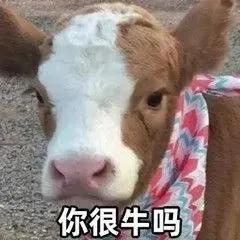 萌宠表情包，微信头像，萌宠表情包（萌宠表情包：我的爱是垃圾吗）