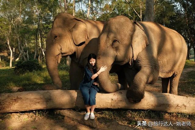 安纳塔拉度假会，阿布扎比安纳塔拉度假村（泰北，丛林野奢OR城市度假）