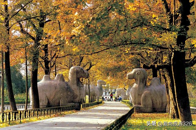 南京两日游攻略自由行，南京旅游攻略二日游免费（金陵帝王州——南京·旅游攻略）