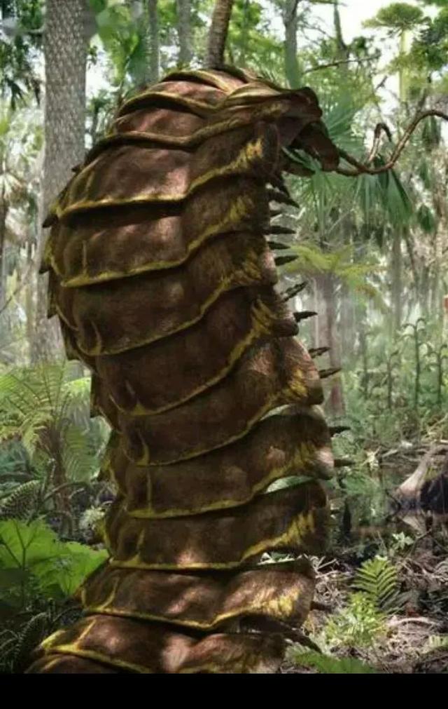 远古蜈蚣究竟有多大,史前5亿年的恐怖巨型蜈蚣