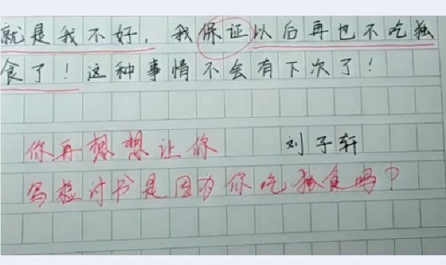 检讨书的正确格式图片，检讨书怎么写（小学生藏头诗式检讨书）