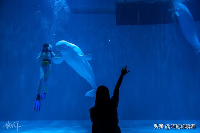 哈尔滨旅游攻略自由行攻略最新，哈尔滨一日游攻略
