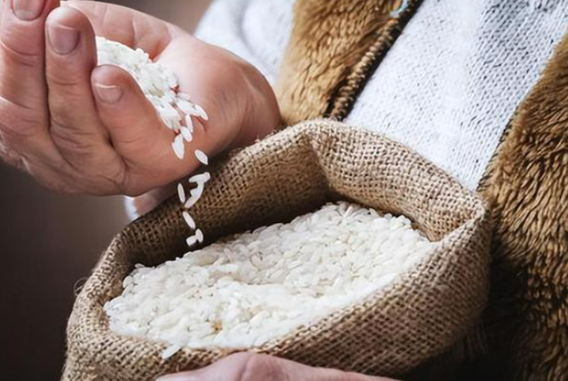 牛肉山药粥做法，牛肉山药可以煮粥吗（我家最爱的懒人“早粥”）