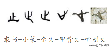 攵出自哪里呢，攵怎么读（汉字的偏旁部首通解）