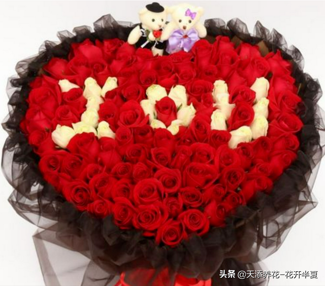 11朵玫瑰代表什么意思，十一朵玫瑰代表什么意思（不同颜色玫瑰花代表含义是什么）